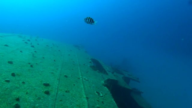 Hilma Hooker port side
