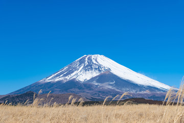 Fototapeta premium 冬の富士山 静岡県裾野市