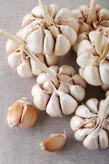 Fresh ingredients, garlic