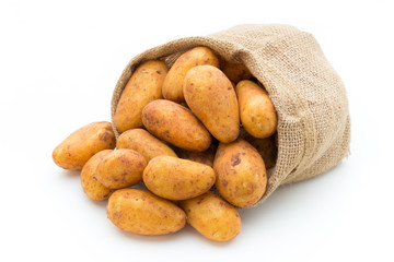 A bio russet potato isolated white background.