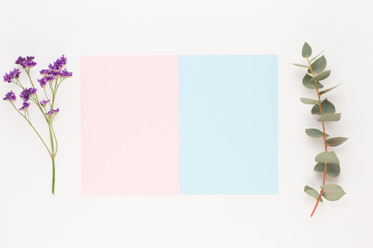 Fototapeta Flowers composition. Paper blank, carnation flowers, eucalyptus branches on pastel  background. Flat lay, top view, copy spaceFlat lay stiil life.