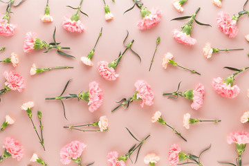 Obraz na płótnie Canvas Pink carnation flowers on pastel background. Flat lay, top view, copy space.