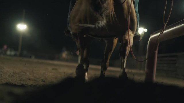 Horses legs running