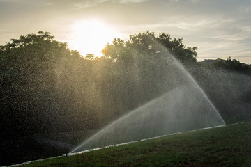 Water Sprinklers at Sunset - with a Fine Mist of Water in the Air and the Sun Setting Over Trees in the Background