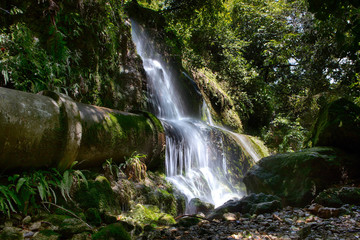 Waterfalls in Bush. New Zealand