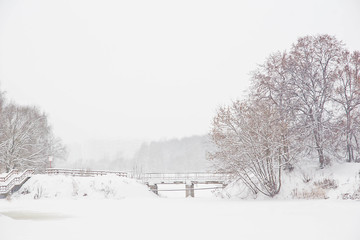 trees and bridge in the city park in winter