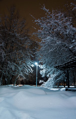 street lamp, trees and snowdrifts in the winter park in the evening