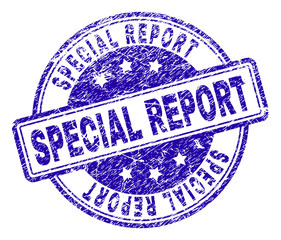 SPECIAL REPORT stamp seal imprint with distress texture. Designed with rounded rectangles and circles. Blue vector rubber print of SPECIAL REPORT caption with corroded texture.