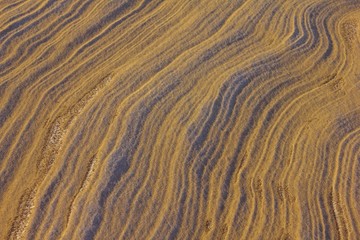 Sand, desert, evening.