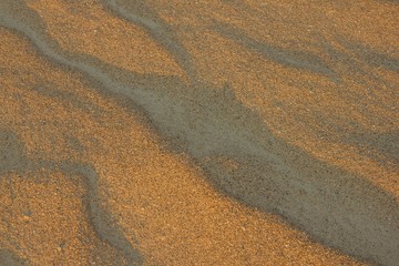 Beach, evening, sand.