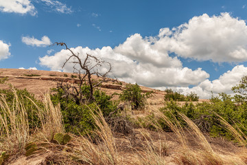 Enchanted Rock