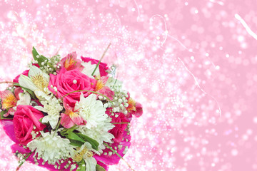 bunch of roses on a pink background