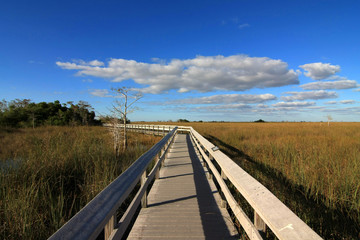 Pa-Hay-Okee Boardwalk over the sawgrass in Everglades National Park, Florida.