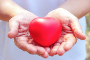 close up of heart model on hands