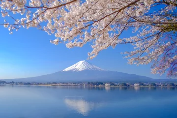 Cercles muraux Mont Fuji Mount Fuji with snow capped, blue sky and beautiful Cherry Blossom or pink Sakura flower tree in Spring Season at Lake kawaguchiko, Yamanashi, Japan. landmark and popular for tourist attractions