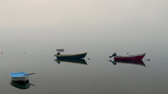 Three dinghy fishing boats at anchor in a quiet foggy cove with no horizon line visible.