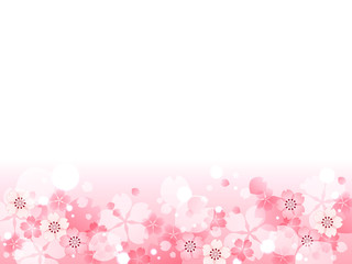 Obraz na płótnie Canvas 春の桜の花の華やかな背景