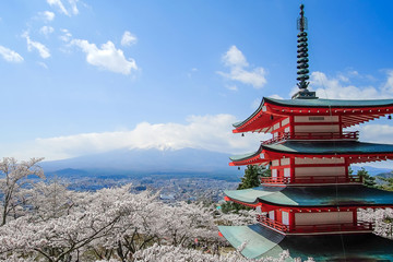 Chureito red Pagoda with beautiful Cherry Blossom or pink Sakura flower tree and Mount Fuji against blue sky. Spring Season at Fujiyoshida, Japan. landmark and popular for tourist attractions