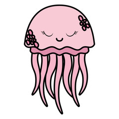 jellyfish icon image