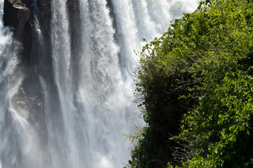 Detail of Victoria's waterfalls