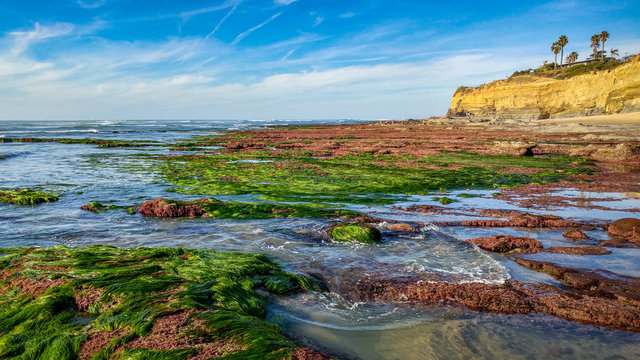 Sunset Cliffs Natural Park
