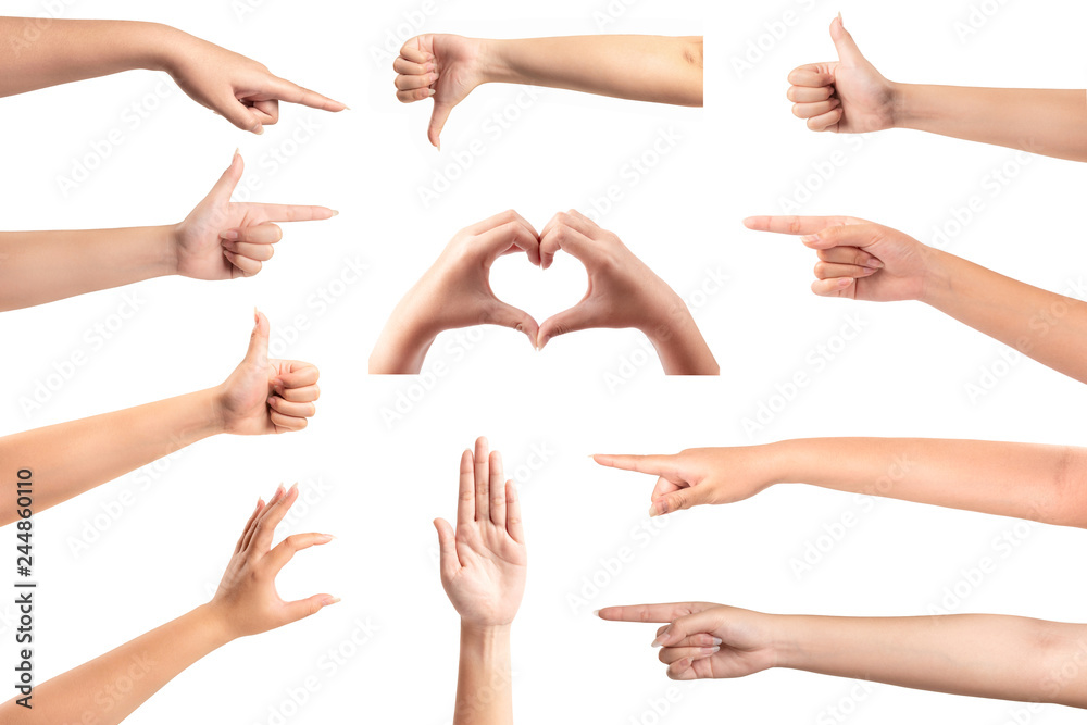 Wall mural Set of female hands isolated on white background