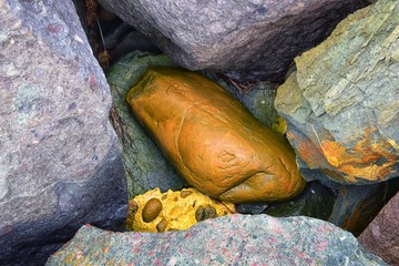 View from Mission Beach in San Diego, of Piers, Jetty and sand, around surfers, including warning signs, palm trees, waves, rocks, boats and horizon views. Pacific Ocean. California, United States.