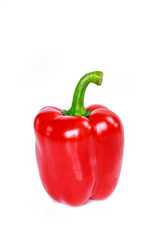 red bell pepper on white background.