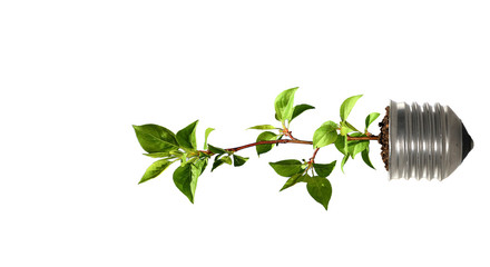 Light Bulb with sprout. Mixed media