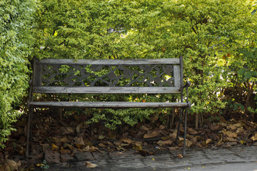 Old chair and leave background in garden,soft focus.