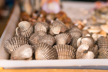 Nicely placed shrimp, mussels, seafood on ice in a bucket. Dining.