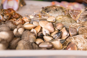 Nicely placed shrimp, mussels, seafood on ice in a bucket. Dining.