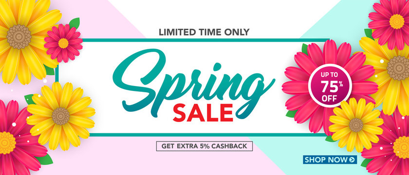 Spring sale banner template with beautiful colorful flower on pink background, for shopping sale. banner design. Poster, card, web banner. Vector illustration