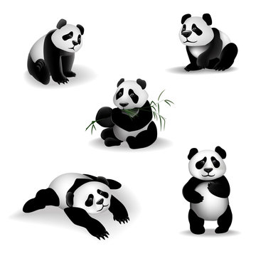 Cartoon Panda.
Set of cartoon pandas on a white background. Vector illustration, 3D.