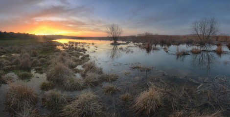 Obraz premium Spring nature landscape during the spring flood. Sunny morning w