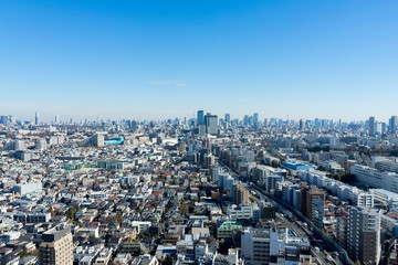 Fototapeta premium 東京 都市景観