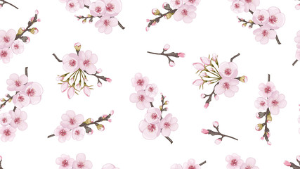 Rose on white fond. Spring pattern of sakura flowers. Handmade Seamless pattern in Chinese style. Design element for fabric, invitations, packaging, cards.