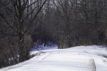 Obraz premium Wisconsin Winter Wonder Land 