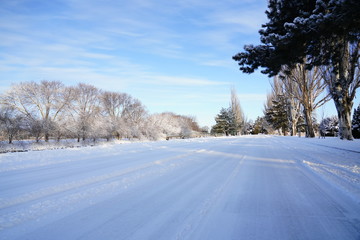 Obraz premium Wisconsin Winter Wonder Land