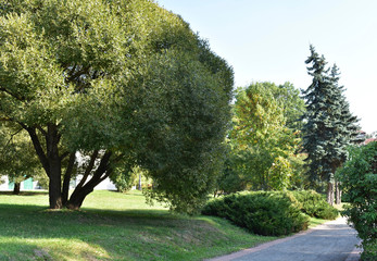 Landscape design in the Park.