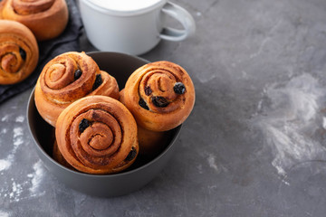 Freshly Baked Traditional Sweet Cinnamon Rolls, Swirl. Copy space.