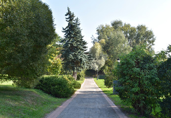 Cobblestone road in the Park.