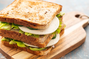 Healthy Homemade Vegetarian Veggie Sandwich with Lettuce. cucumber, avocado, Cheese. Copy space.