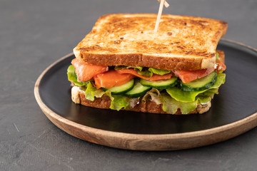 Sandwich with cereals bread and salmon on dark marble background. Copy space.