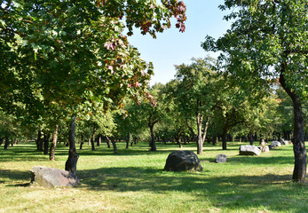 Large stones in the Park.
