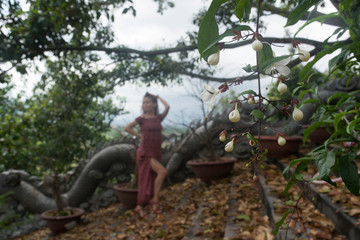 girl, dragon, background, stone, beautiful, young, art, woman, blue, black, decoration, old, travel, landscape, tree, outdoor, architecture, grass, building, traditional, house, garden, tourism, cultu