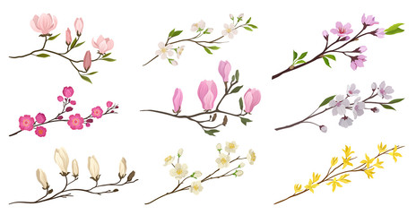 Obraz na płótnie Canvas Set of flowering branches with small flowers and green leaves. Twigs of fruit trees. Detailed flat vector icons