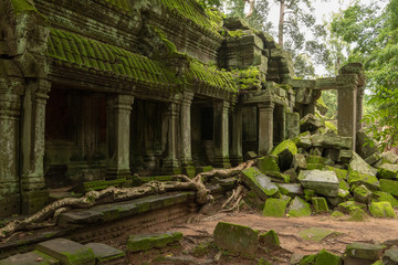 Fototapeta premium Temple colonnade and fallen rocks in jungle
