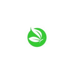 green buterfly in the circle logo design vector