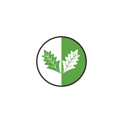 leaf in the circle vector